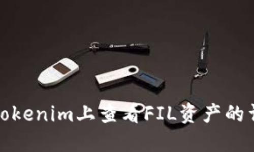 如何在Tokenim上查看FIL资产的详细教程