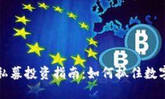 虚拟币母币私募投资指南