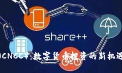 天使币（CNCC）：数字货币