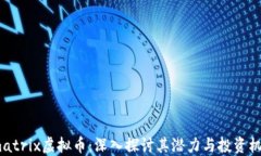 tmatrix虚拟币：深入探讨其