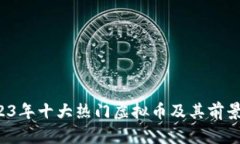  2023年十大热门虚拟币及其