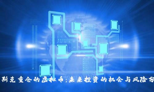 马斯克重仓的虚拟币：未来投资的机会与风险分析