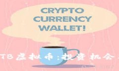 全面解析PTB虚拟币：投资