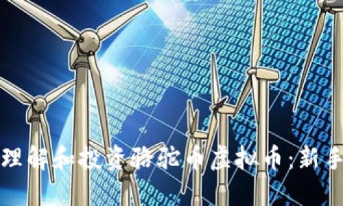 如何理解和投资骆驼币虚拟币：新手指南