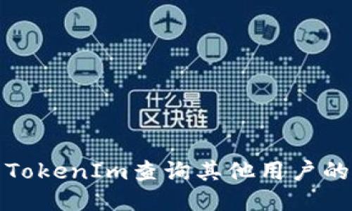 如何使用TokenIm查询其他用户的地址余额
