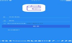 如何使用Tokenim钱包映射
