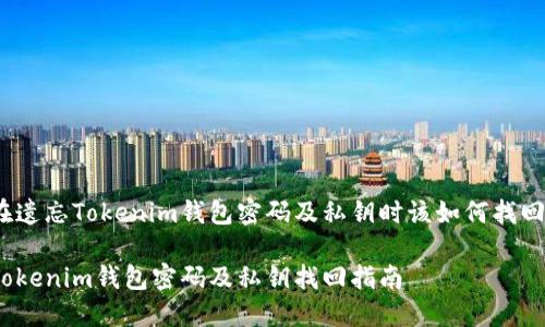 在遗忘Tokenim钱包密码及私钥时该如何找回？

Tokenim钱包密码及私钥找回指南