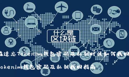 在遗忘Tokenim钱包密码及私钥时该如何找回？

Tokenim钱包密码及私钥找回指南