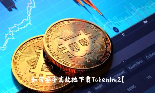如何安全高效地下载Tokenim2？