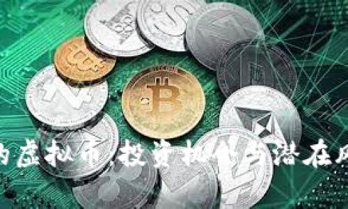 了解B的虚拟币：投资机会与潜在风险分析