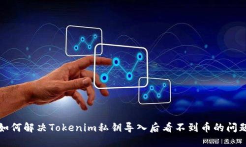 如何解决Tokenim私钥导入后看不到币的问题