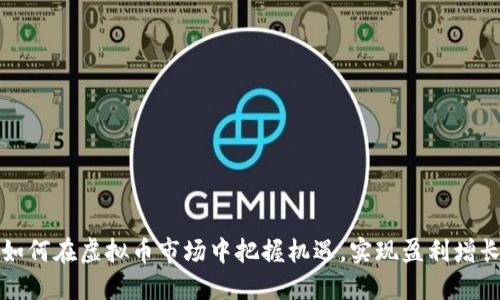 如何在虚拟币市场中把握机遇，实现盈利增长