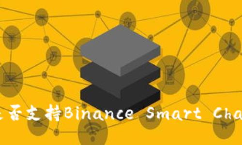 TokenIM是否支持Binance Smart Chain (BSC)？