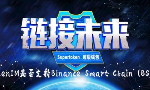 TokenIM是否支持Binance Smart Chain (BSC)？