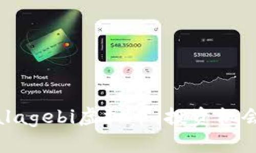 深入解析Malagebi虚拟币：投资机会与风险分析