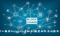 深入解析Malagebi虚拟币：投