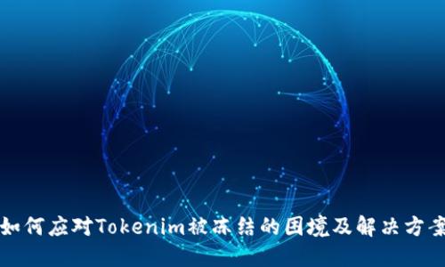 如何应对Tokenim被冻结的困境及解决方案