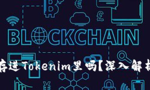 : 传销币能存进Tokenim里吗？深入解析与风险提示