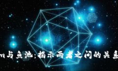Tokenim与鱼池：揭示两者之