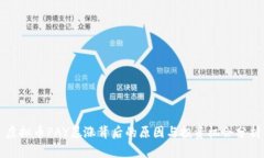 虚拟币PAY暴涨背后的原因