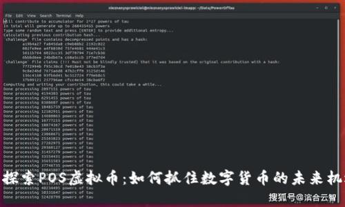 : 探索POS虚拟币：如何抓住数字货币的未来机遇
