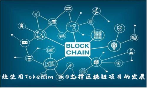 如何有效使用Tokenim 2.0支撑区块链项目的发展与落地