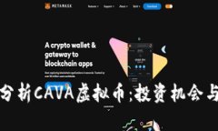 深入分析CAVA虚拟币：投资