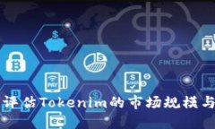 如何评估Tokenim的市场规模