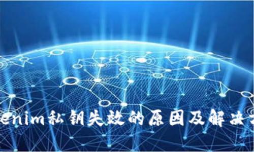 Tokenim私钥失效的原因及解决方案