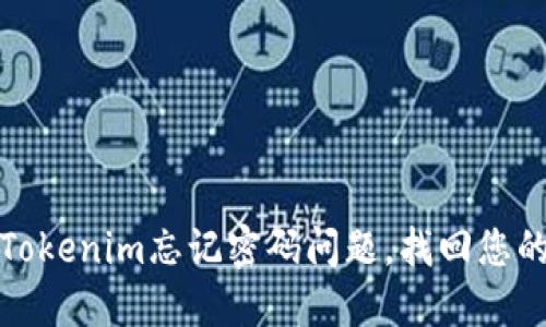 如何解决Tokenim忘记密码问题，找回您的账户安全