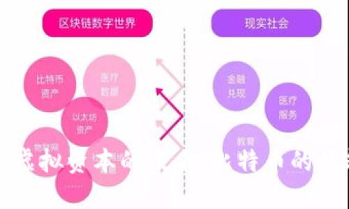 深入探索虚拟资本的未来：比特币的崛起与挑战