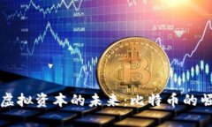 深入探索虚拟资本的未来