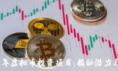   2017年虚拟币投资项目：