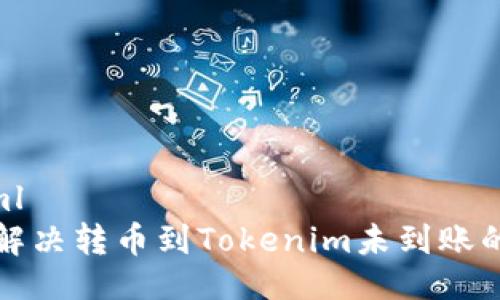 ```xml
如何解决转币到Tokenim未到账的问题