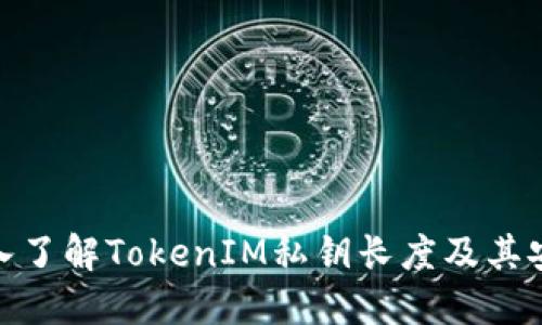 : 深入了解TokenIM私钥长度及其安全性