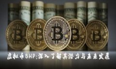 虚拟币BHP：深入了解其潜力与未来发展