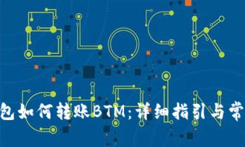 Tokenim钱包如何转账BTM：详细指引与常见问题解析