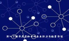 深入了解邦尼虚拟币的未