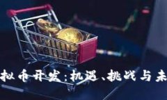 海南虚拟币开发：机遇、挑战与未来趋势