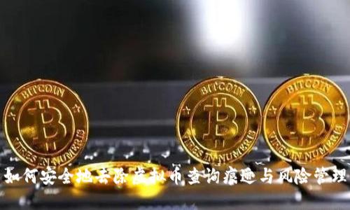 如何安全地去除虚拟币查询痕迹与风险管理