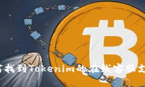 如何找到Tokenim的在线客服支持？