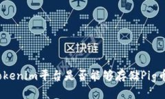 tokenim平台是否能够存储Pig币？