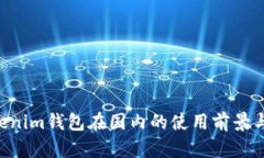 Tokentokenim钱包在国内的使用前景与问题分析