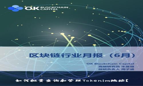 如何批量查询和管理Tokenim地址？