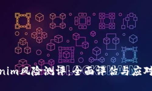 Tokenim风险测评：全面评估与应对策略
