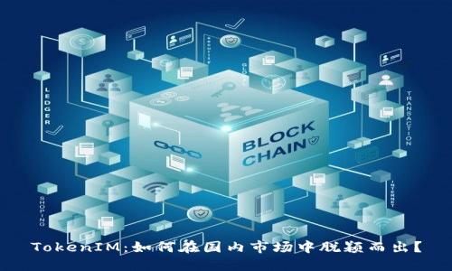 TokenIM：如何在国内市场中脱颖而出？