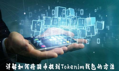 
详解如何将猪币提到Tokenim钱包的方法