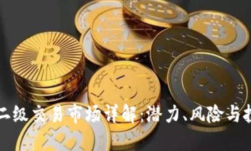 虚拟币二级交易市场详解：潜力、风险与投资策略