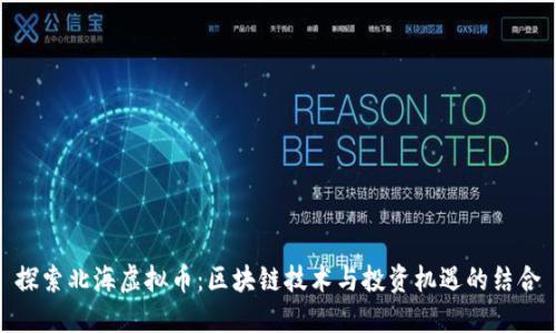 探索北海虚拟币：区块链技术与投资机遇的结合
