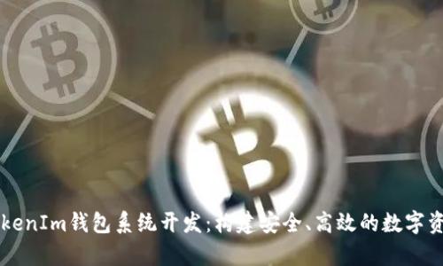 全面解析TokenIm钱包系统开发：构建安全、高效的数字资产管理平台